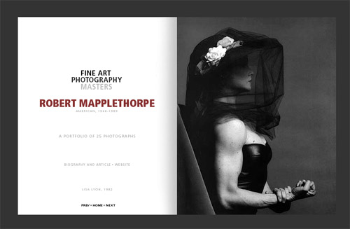 mapplethorpe.jpg